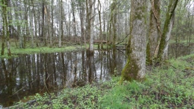 0 Denton Rd, Moss, TN 38575 - photo 2