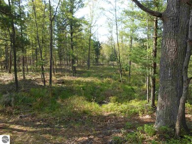 0 Powerline Rd unit 1847246, Whittemore, MI 48770 - photo 7