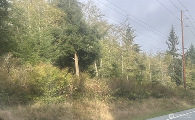 0 Forest View Ln, Greenbank, WA 98253 - photo 5