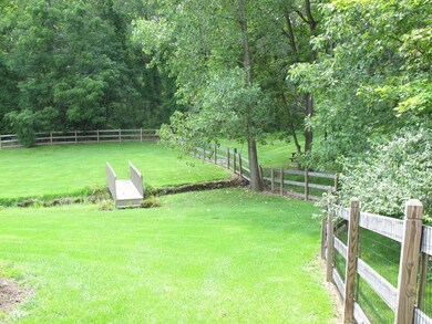 Rear view of the yard