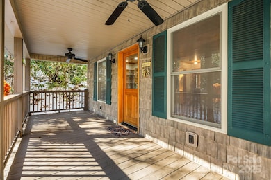 7158 Max Patch Rd, Hot Springs, NC 28743 - photo 5