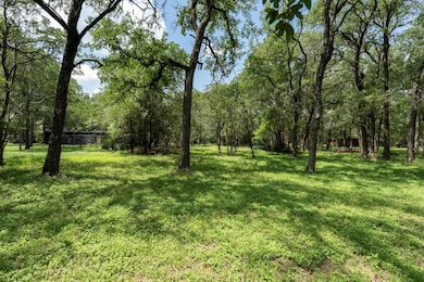 View of green lawn