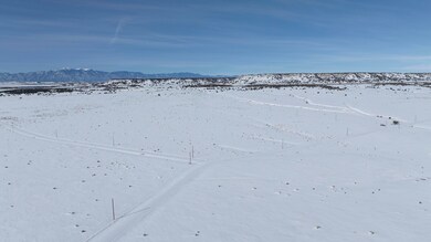 DJI_20250121115126_0363_D