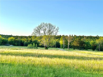 Tract 14 Merle Branch Ln, Heavener, OK 74937 - photo 4