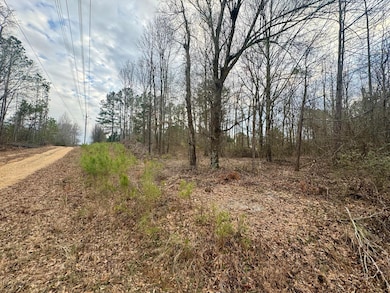 Lot 3.5
