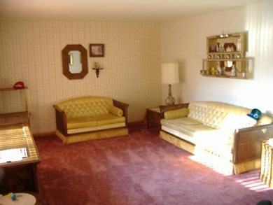 8915 Parrish Ave, Highland, IN 46322 - photo 2