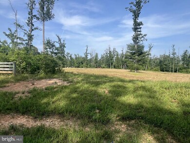 13 Joshuas Way, Unionville, VA 22567 - photo 4