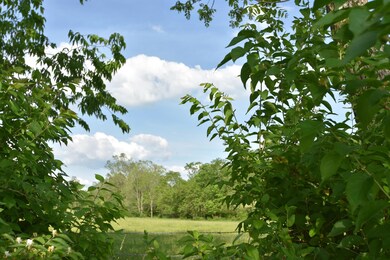 0 A T Dean Rd unit Tract 1, Harrodsburg, KY 40330 - photo 4