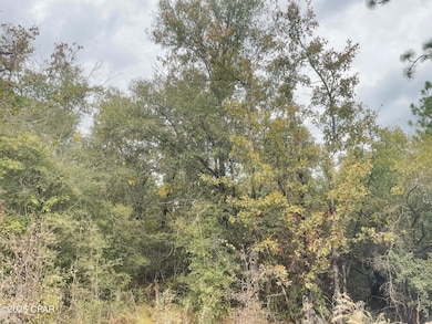 0000 Highview Cir, Chipley, FL 32428 - photo 7