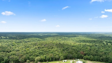 128 Ac Styles Rd, Noel, MO 64854 - photo 7