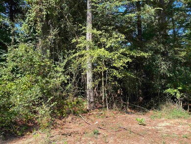 0 Lakewood Way NE unit 621 20146202, Conyers, GA 30012 - photo 5