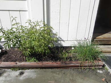 Your Private Garden With Lily And Chives