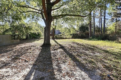 2140 Sandy Run Dr, Gaston, SC 29053 - photo 4