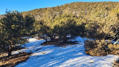 4480 Laidlaw Rd, Fort Garland, CO 81133 - photo 5