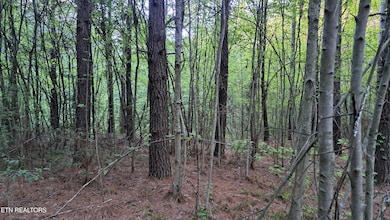 Lot 22 Airport Rd (Pca), Rockwood, TN 37854 - photo 6