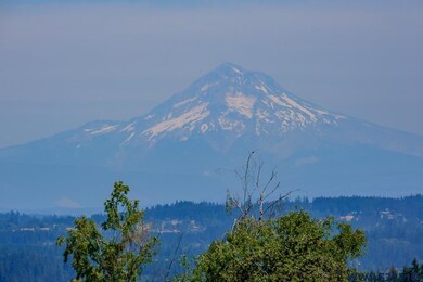 Hello Mt Hood!