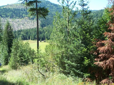 View of valley from bldg site