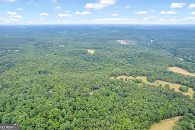 1255 Seymour Rd, Bowman, GA 30624 - photo 5