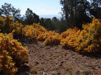 0 Squirrel Rock Rd unit 754418, Cedaredge, CO 81413 - photo 4