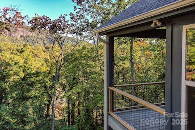 272 Seton Rd, Lake Lure, NC 28746 - photo 4