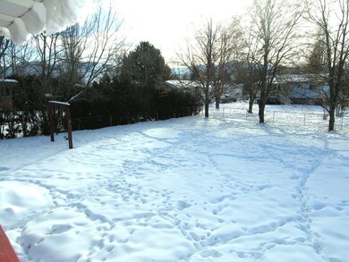 back yard