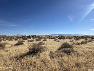 05044703 Jungo Rd, Winnemucca, NV 89445 - photo 4