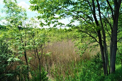 3249-B S Broadway, Saratoga Springs, Outside, NY 12866 - photo 4