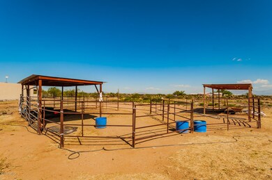 Horse facilities
