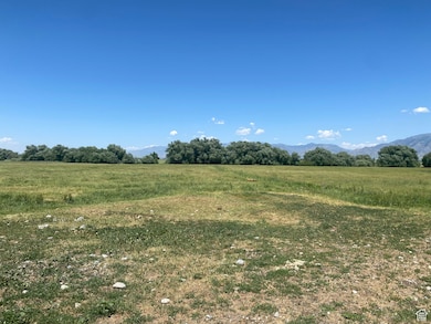 4700 W 2900 S, Mendon, UT 84325 - photo 3