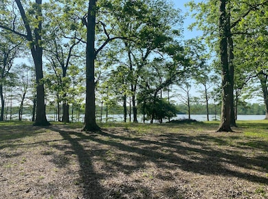 8 Neill Cove, Dundee, MS 38626 - photo 2