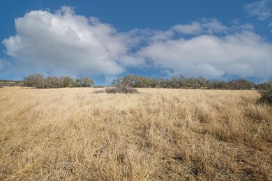 2 E Lower Crabapple Rd unit 2, Fredericksburg, TX 78624 - photo 7