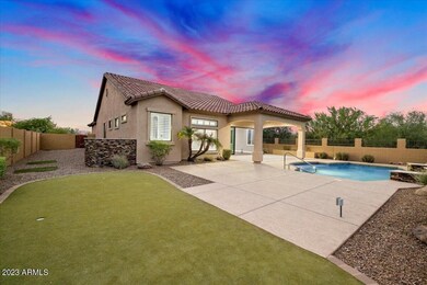Backyard Oasis