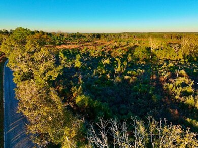 0 Brushy Creek Rd unit LotWP006 22148687, Columbia, MS 39429 - photo 6