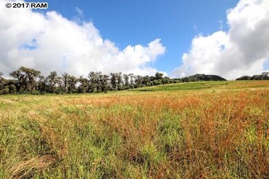 1 Paholei Rd, Makawao, HI 96768 - photo 6