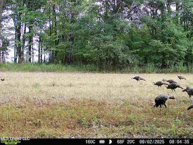 0 Curtis Rd unit 4105556, Batesville, MS 38606 - photo 2