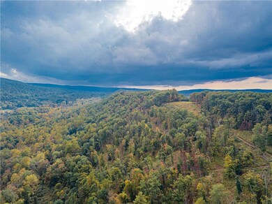 0 Russell Ln, Hamilton Township, PA 18360 - photo 5