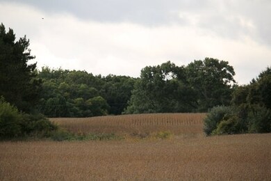 20 AC Whalen Rd, Madison, WI 53711 - photo 5