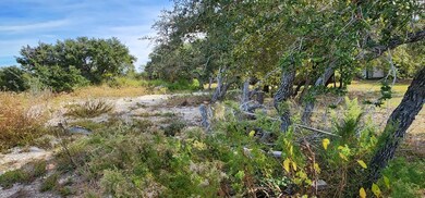 1320 W Young Ave, Aransas Pass, TX 78336 - photo 4