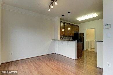 24640 Rosebay Terrace, Aldie, VA 20105 - photo 6