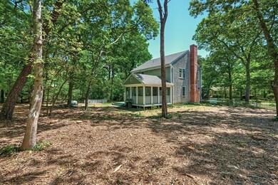 15_Backyard_IMG_2512