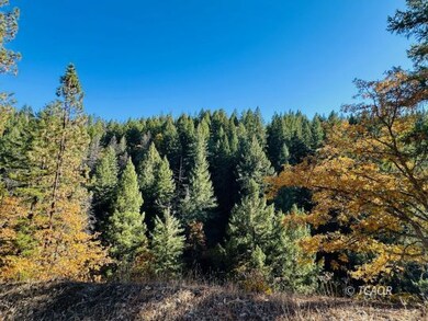 Nice Trees