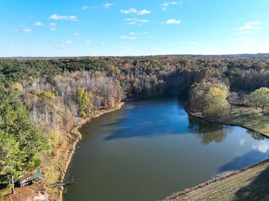 Drone / aerial view of a large body of water and a forest