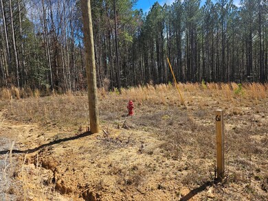 LOT 61 Shoreside at Sipsey, Houston, AL 35572 - photo 4