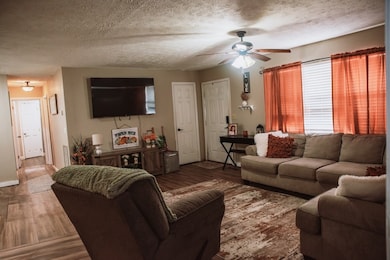 730 Iris Ave, Jamestown, TN 38556 - photo 4