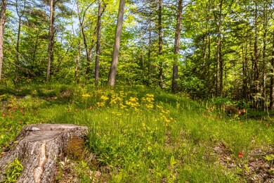 BEAUTIFUL NATURAL FEATURES
