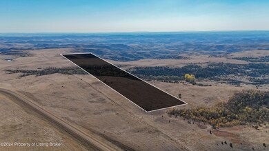 40 Acres