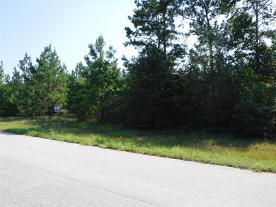 2064 White Buck Ct, Cleveland, TX 77328 - photo 6