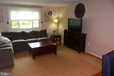 7025 Bedrock Rd, Alexandria, VA 22306 - photo 3