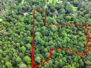 22909 Baneberry Rd, Magnolia, TX 77355 - photo 2