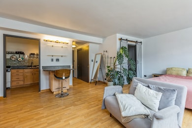 1150 N Lake Shore Dr unit 9J, Chicago, IL 60611 - photo 5